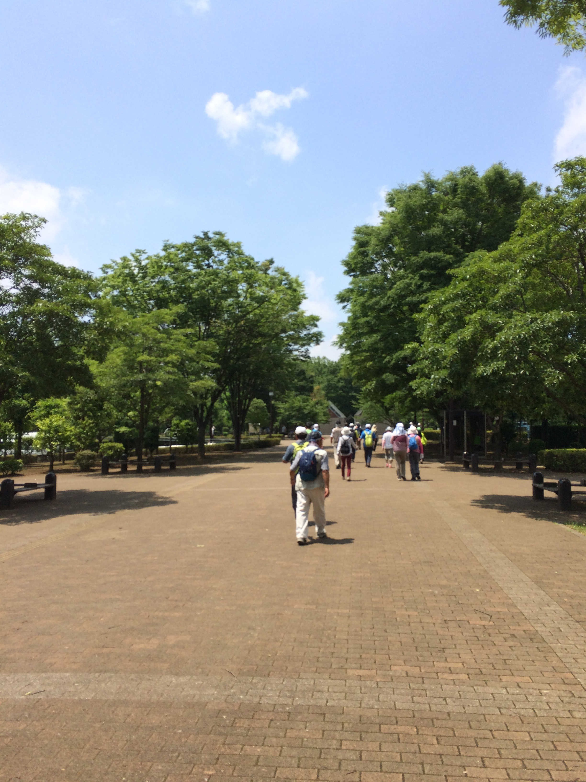 若葉駅（最寄駅）鶴ヶ島市・市民活動推進センター（スタート）→鶴ヶ島に残る田んぼ→東市民センター→長峰園→上広谷の馬頭観音→大橋市民センター→